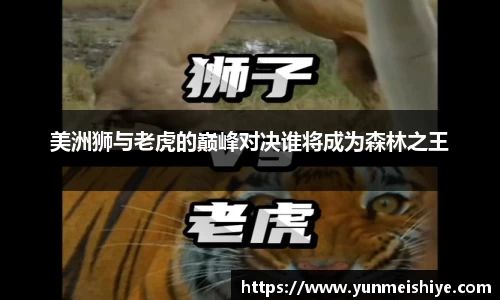 美洲狮与老虎的巅峰对决谁将成为森林之王